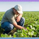 Shaping the Future of Agriculture The Legacy of unprg – ingeniero agrónomo escurra clso