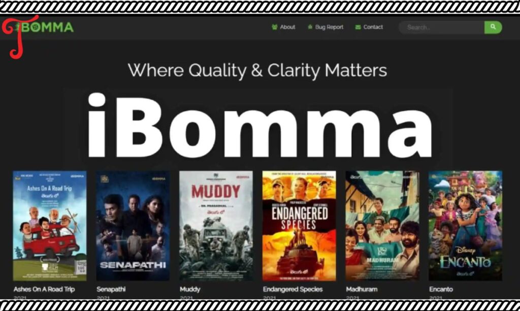 ibomma's Video Quality Options